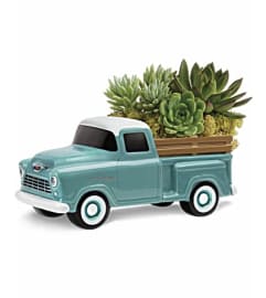 50's Vintage Chevy Truck Succulent Bouquet. An arrangement by Awesome Blossom. 50's Vintage Chevy Truck Succulent Bouquet. An arrangement by Awesome Blossom.