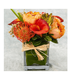 The Nelly. An arrangement by Florique.