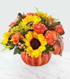 THE HARVEST TRADITIONS PUMPKIN. An arrangement by Floral Insight.