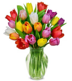 Mixed tulips. An arrangement by Chelsea Florist, Inc.