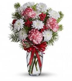 Christmas Candy. An arrangement by Flowers by Anna.