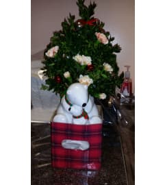 Christmas Bears Arrangement. An arrangement by Flamingo Floral and Gifts.