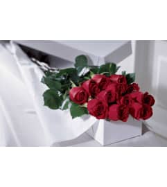 1 Dozen Boxed Roses. An arrangement by April Showers Floral Designs.