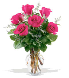 6 HOT PINK ROSES. An arrangement by Howard Beach Florist.