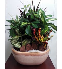 Emerald Ceramic Garden. An arrangement by Flowers By Maria.