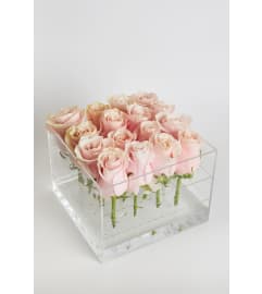 Acrylic Box square 16 Roses. An arrangement by Grower's Flower Market and Gifts.