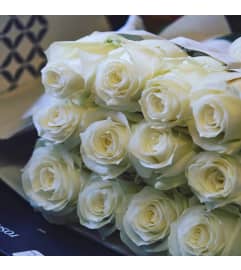 1 Dozen White Roses Wrapped. An arrangement by Napanee Blooms.