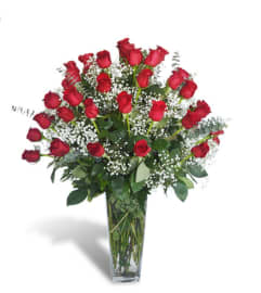 24 Rose Kisses. An arrangement by The Flower Patch Florist. 24 Rose Kisses. An arrangement by The Flower Patch Florist.