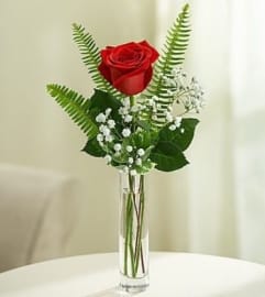 ONE SINGLE PERFECT RED ROSE IN A VASE WITH ACCENT FOLIAGE. An arrangement by Flowers by Priscilla.