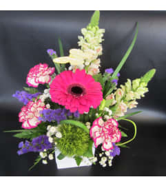 Spring in your Step. An arrangement by Flowers Plus.
