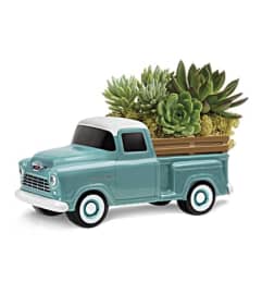 Perfect Chevy Pickup with Succulents. An arrangement by Flowers of Jacksonville.