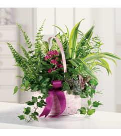 Flowering Memory Dish Garden. An arrangement by Danville Florist.