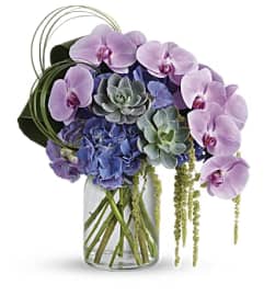 Sheer Elegance. An arrangement by Brickell Ave Florist.