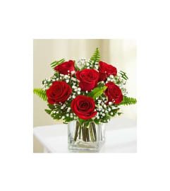 6 Red Roess w/vase. An arrangement by Burlington Flowers.