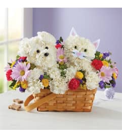 Birthday Pals Dog and Cat In Basket. An arrangement by Burlington Flowers.