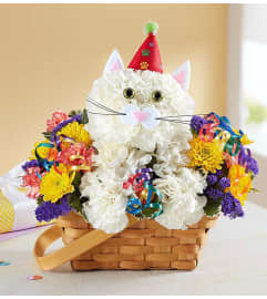 PURRFECT PARTY. An arrangement by J.D. Ballantine's Flowers and Gifts.