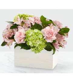 Sweet Charm. An arrangement by Love Story Florist.