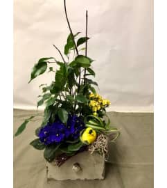 BIRDS AND VIOLETS. An arrangement by White's Flowers.