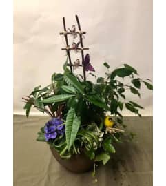 GORGEOUS GARDEN PLANTER. An arrangement by White's Flowers.