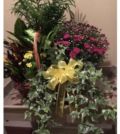 Ex Large Plant Garden. An arrangement by Seasons Change Designs.