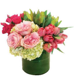Snazzy. An arrangement by The Greenhouse Florist.