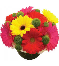 Groovy. An arrangement by The Greenhouse Florist.