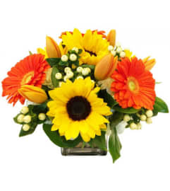 Asante. An arrangement by The Greenhouse Florist.