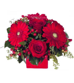 Kinky Boots. An arrangement by The Greenhouse Florist.