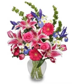 Growing Embrace. An arrangement by Flower Lane.