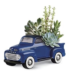 Ford Pick up Full of Succulents. An arrangement by K1 Floral Studio.