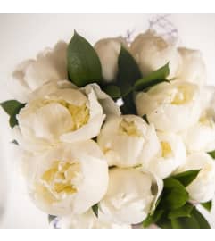 Bouquet of 12 peonies. An arrangement by New Bloominghill Flowers. Bouquet of 12 peonies. An arrangement by New Bloominghill Flowers.
