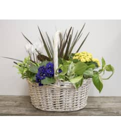 Willow Planter. An arrangement by The Flower Shop in the Village. Willow Planter. An arrangement by The Flower Shop in the Village.