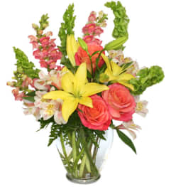Magnificent Dream. An arrangement by Flower Lane.