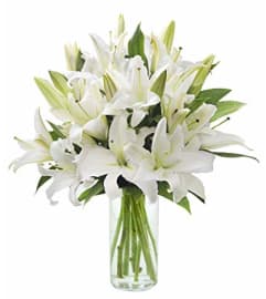 Perfect White Lilies. An arrangement by The Greenhouse Florist.