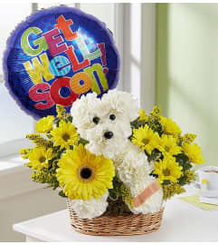 Get Well Soon Bouquet. An arrangement by Westchester Flowers and Gifts.