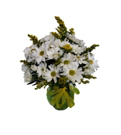 Perfectly Pleasant. An arrangement by Flowers Plus.