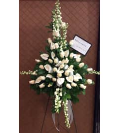 Tropical Touch. An arrangement by Petals.