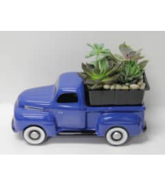 48 Ford Truck Succulent Bouquet. An arrangement by Awesome Blossom. 48 Ford Truck Succulent Bouquet. An arrangement by Awesome Blossom.