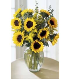 Endless Summer. An arrangement by Avenue Flowers and Gifts. Endless Summer. An arrangement by Avenue Flowers and Gifts.