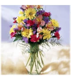Pink Wisps. An arrangement by Avenue Flowers and Gifts. Pink Wisps. An arrangement by Avenue Flowers and Gifts.