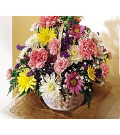 Cheer Them Up. An arrangement by Avenue Flowers and Gifts. Cheer Them Up. An arrangement by Avenue Flowers and Gifts.