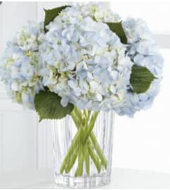Vera Wang Inspirations. An arrangement by Avenue Flowers and Gifts. Vera Wang Inspirations. An arrangement by Avenue Flowers and Gifts.