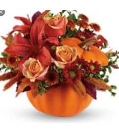 It's a Treat. An arrangement by Avenue Flowers and Gifts. It's a Treat. An arrangement by Avenue Flowers and Gifts.