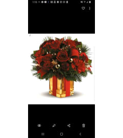 Wrapped Up. An arrangement by Avenue Flowers and Gifts. Wrapped Up. An arrangement by Avenue Flowers and Gifts.