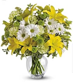 Fields of Ireland. An arrangement by Avenue Flowers and Gifts.