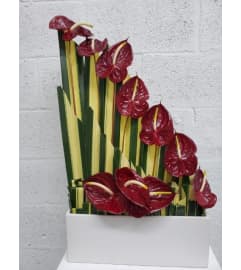 Tropical Parallel Modern. An arrangement by Brickell Exclusive Blooms.