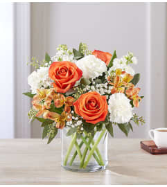 SWEET CITRUS. An arrangement by J.D. Ballantine's Flowers and Gifts.