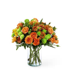 FTD Autumn Delight™. An arrangement by Roma James Gifts.