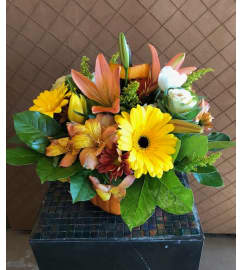 Pumptastic. An arrangement by Petals.