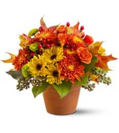 Autumn Memory. An arrangement by The Greenhouse Florist.